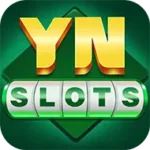 YN SLOTS